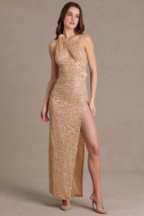 Embellished Asymmetric One-Shoulder Maxi Dress in Sand